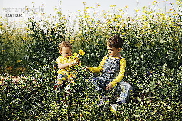 Little boy and baby girl sitting on a meadow with bunch of picked flowers