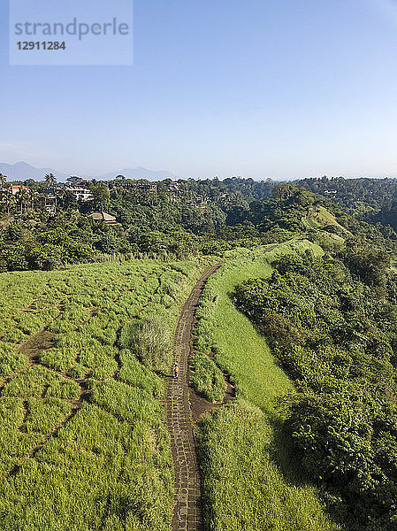 Indonesia  Bali  Ubud  Aerial view of path at hills