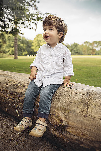 Happy toddler sitting on tree trunk in park