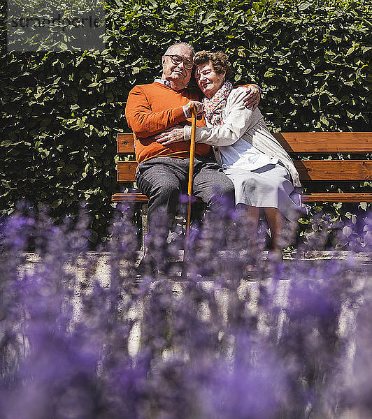 Senior couple sitting on bench in a park  with arms around