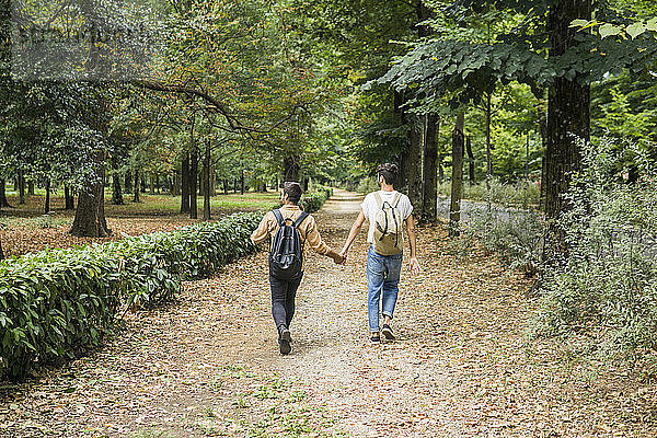Back view of young gay couple with backpacks walking hand in hand in autumnal park