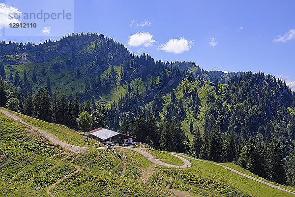 Germany  Bavaria  Allgaeu  Oberallgaeu  Oberstaufen  Allgaeu Alps  Obere Lauch-Alpe am Hochgrat and Seelenkopf  Nagelfluhkette