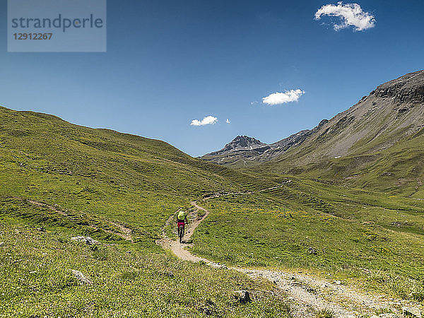 Switzerland  Lower Engadin  mountainbiker on path towards Uina gorge