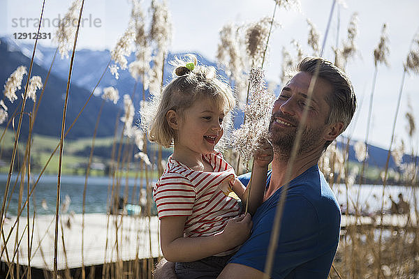 Austria  Tyrol  Walchsee  happy father carrying daughter in reeds at the lakeshore
