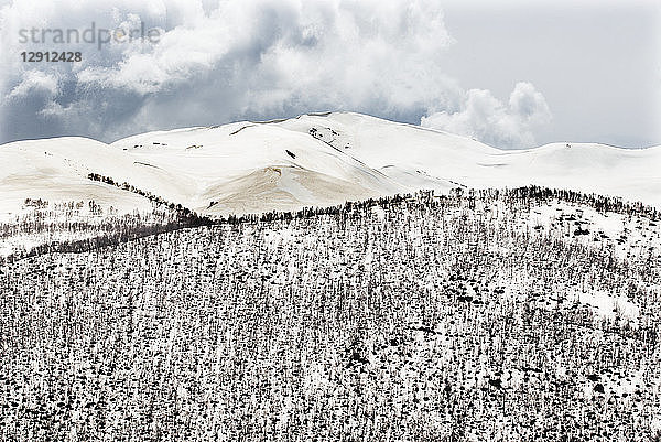 Georgia  Ushguli  Greater Caucasus covered in snow