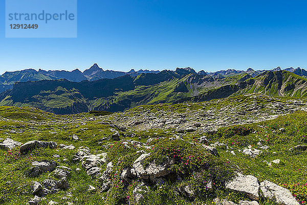 Germany  Bavaria  Koblat at Nebelhorn with Hochvogel Mountain in background