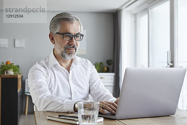 Portrait of mature man using laptop at home
