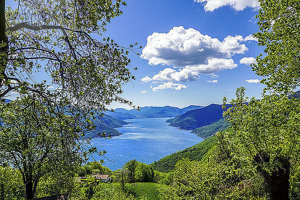 Switzerland  Ticino  View to Lago Maggiore
