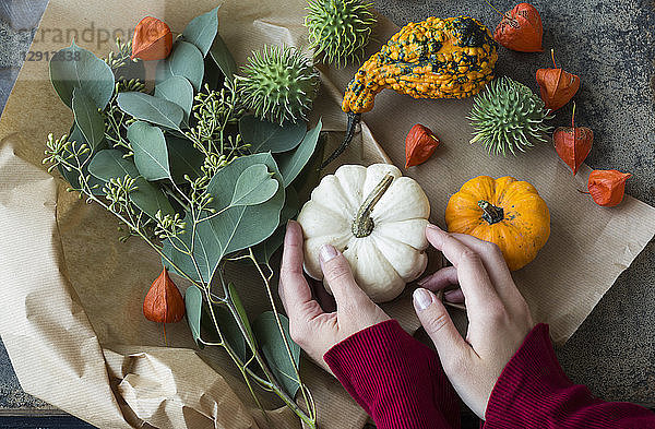 Autumnal decoration  woman's hand taking ornamental pumpkin
