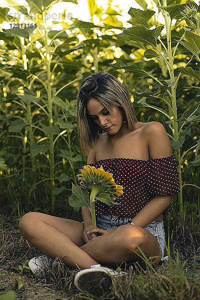 Young woman sitting in a field of sunflowers with a sunflower in her hand