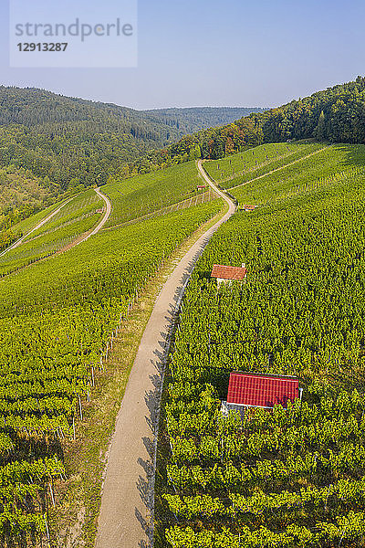 Germany  Baden-Wurttemberg  Aerial view of vineyards At Gundelsbach Valley