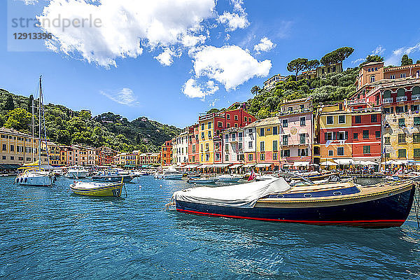 Italy  Liguria  Golfo del Tigullio  Portofino