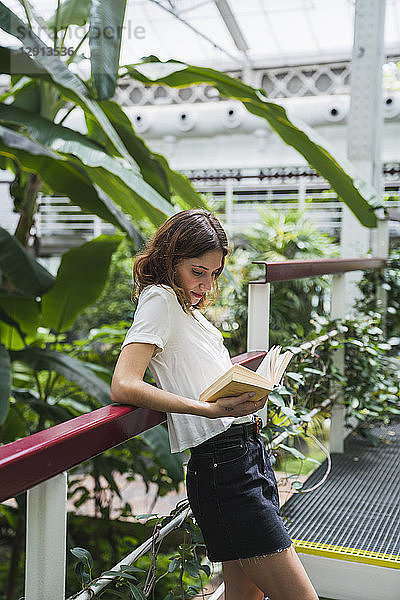 Young woman in greenhouse  reading book