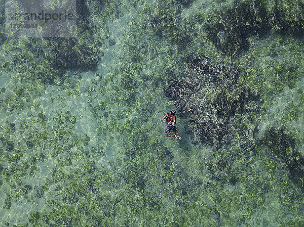 Indonesia  Bali  Aerial view of snorkeler