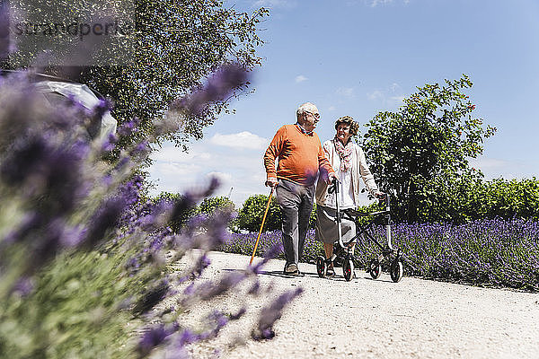 Senior couple walking in park  woman using wheeled walker