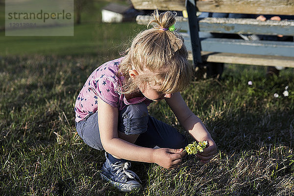 Girl picking flowers on a meadow