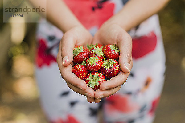 Young woman holding handful of strawberries