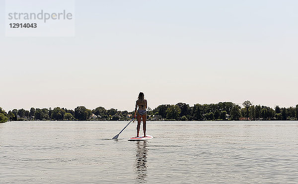 Germany  Brandenburg  back view of woman stand up paddle surfing on Zeuthener See