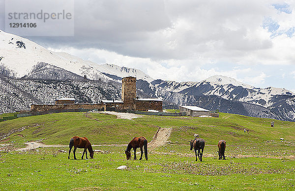 Georgia  Ushguli  Horses grazing in fron of Lamaria Church