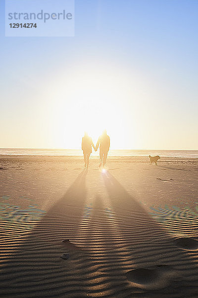 Portugal  Algarve  couple with dog walking on the beach at sunset