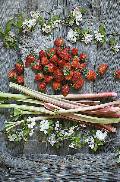 Rhubarb stalks  strawberries and apple blossoms on wood