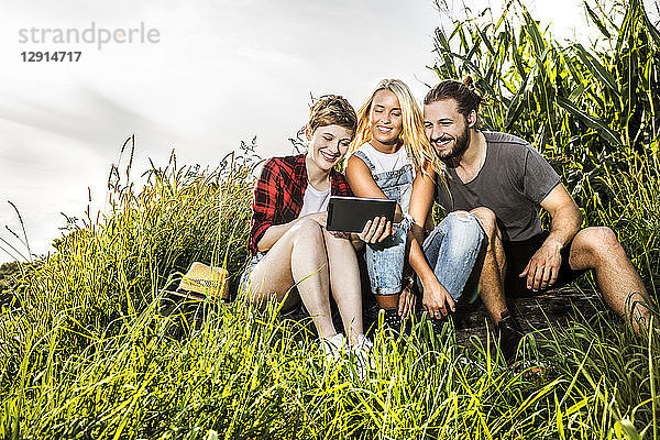 Friends sharing tablet at a cornfield