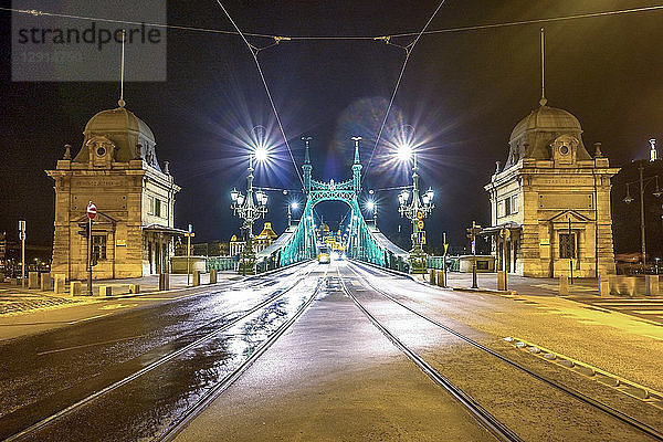 Hungary  Budapest  Liberty bridge at night