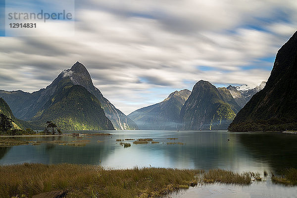 New Zealand  South Island  Fjordland National Park  Milford Sound