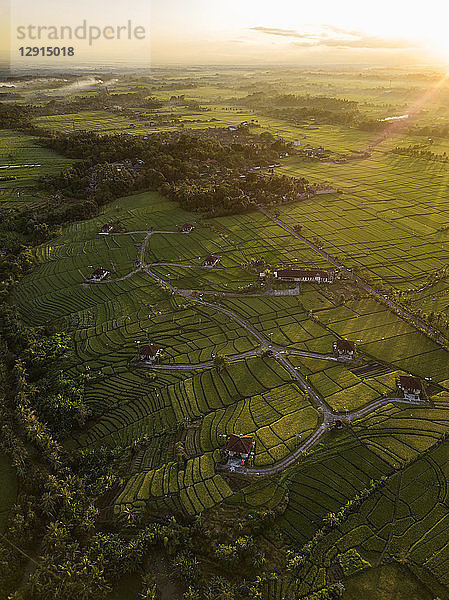 Indonesia  Bali  Kedungu  Aerial view
