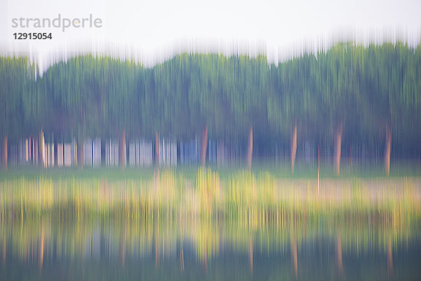 Moving image of trees on the lake