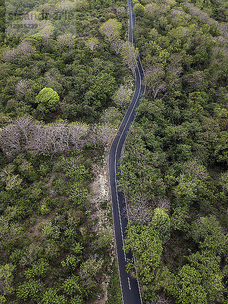 Indonesia  Bali  Aerial view of road and forest
