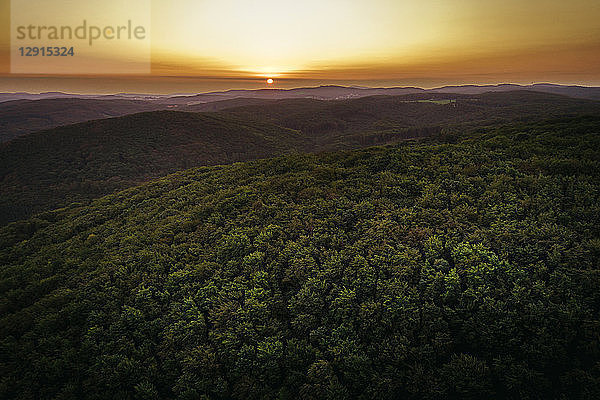 Austria  Lower Austria  Vienna Woods  Biosphere Reserve Vienna Woods  Aerial view of forest at sunrise