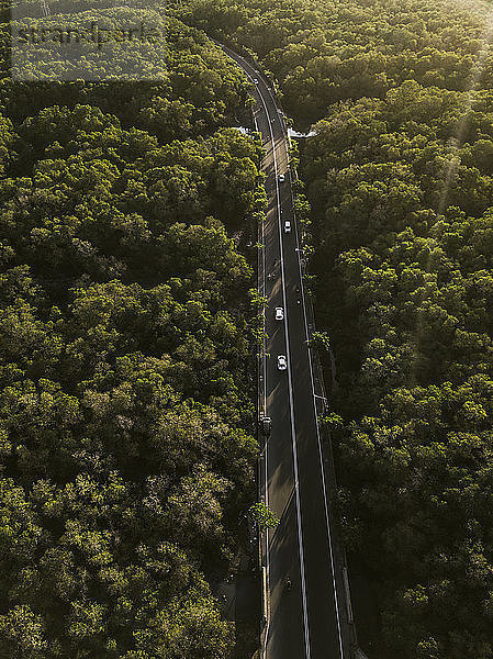 Indonesia  Bali  Aerial view of a road through forest