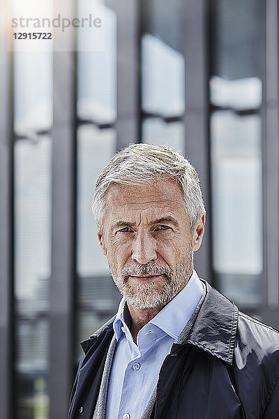 Portrait of serious businessman with grey hair and beard