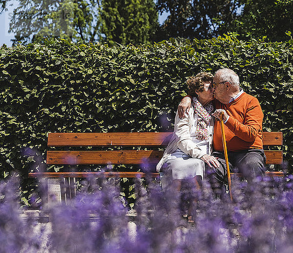 Senior couple sitting on bench in a park  kissing