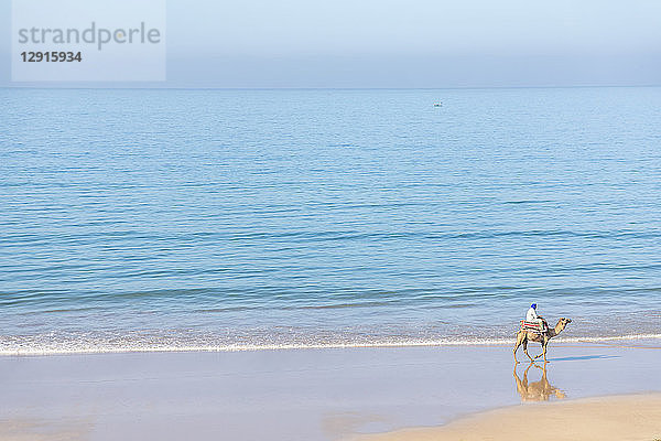 Morocco  Man on camel at the beach