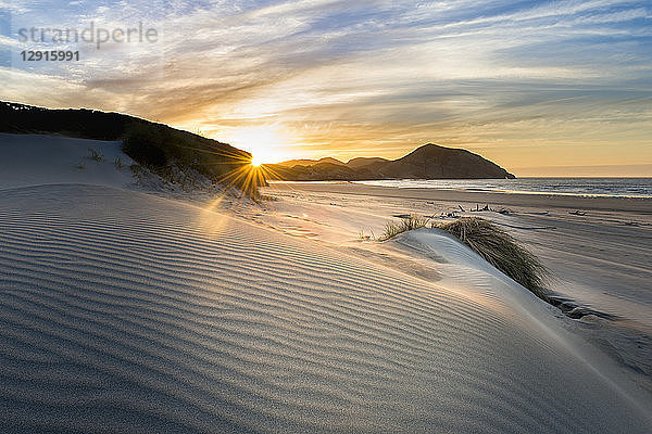 New Zealand  South Island  Puponga  Wharariki Beach  dunes at sunset