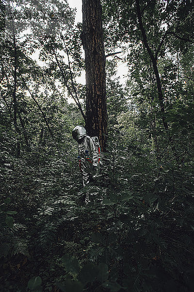 Spaceman exploring nature  looking at plants in forest