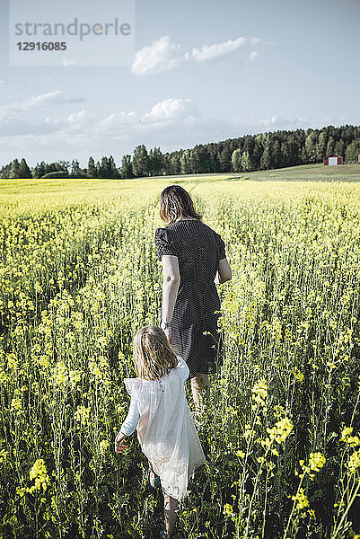 Back view of little girl walking with her mother in rape field