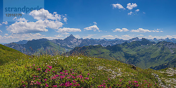 Germany  Bavaria  view from Koblat at Nebelhorn Mountain to Hochvogel Mountain