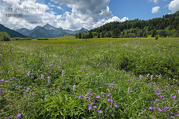 Austria  Tyrol  Tannheim Valley