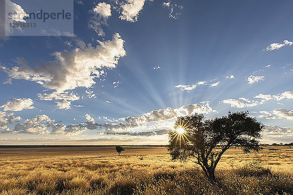 Africa  Botswana  Kgalagadi Transfrontier Park  Mabuasehube Game Reserve  Mabuasehube Pan at sunrise