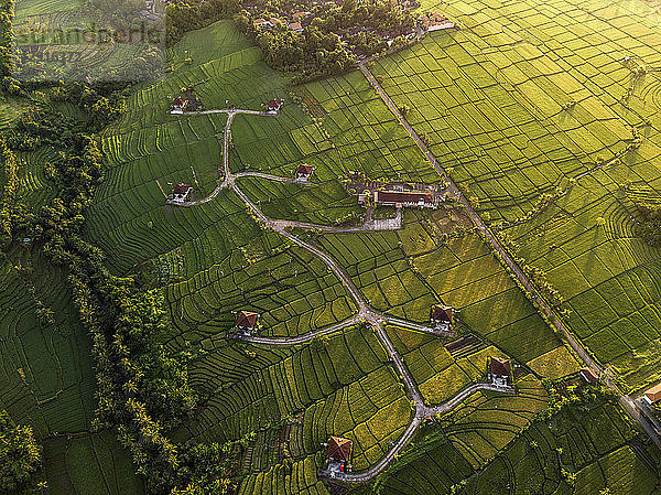 Indonesia  Bali  Kedungu  Aerial view