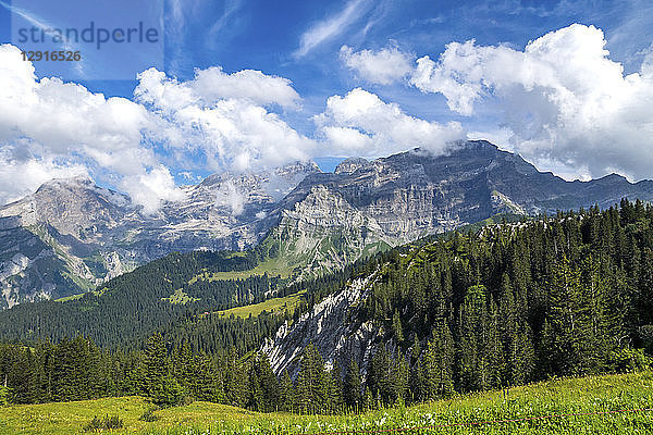 Switzerland  Fribourg  mountain range near Montbovon