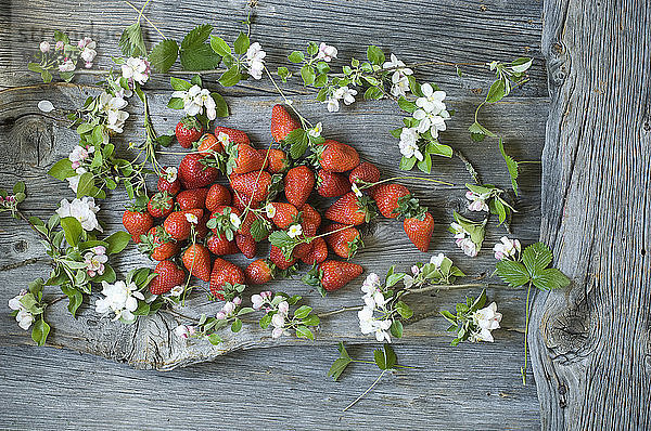 Apple blossom twigs and strawberries on wood
