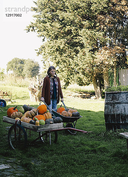 Woman with wheelbarrow of harvested pumpkins on a meadow
