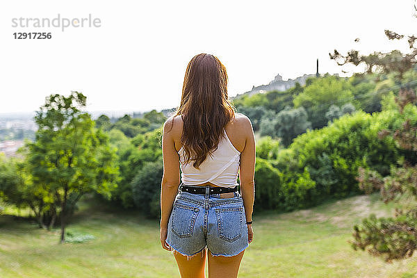 Back view of redheaded woman standing on hill in a park looking at view