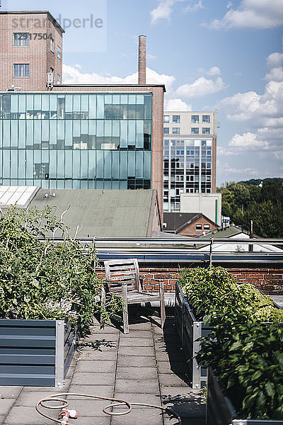 Germany  Duisburg  Urban rooftop garden
