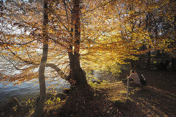 Menschen sitzen auf einer Bank und Bäume im Herbst am Seeufer in Gmunden  Oberösterreich  Österreich