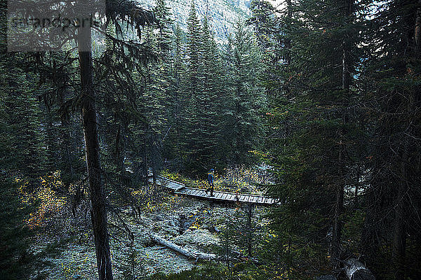 Wanderer beim Überqueren der Waldpromenade im Paradise Valley im Banff National Park  Lake Louise  Alberta  Kanada